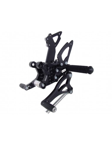 RACINGBIKE PEDANA-POGGIAPIEDE FISSO RSV4/R/FACTORY/APRC 12 vendita online Como