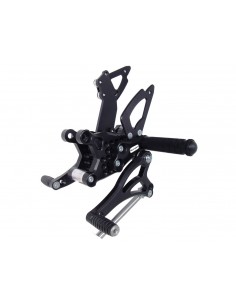 RACINGBIKE PEDANA-POGGIAP.FISSO-CAMBIO STRADALE RSV4/R/FACTORY/APRC APRC 11 vendita online Como