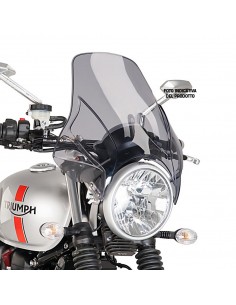 PUIG CUPOLINO UNIV. MOD. PLUS DAELIM ROADWIN 125 2009 FUME CHIARO vendita online Como