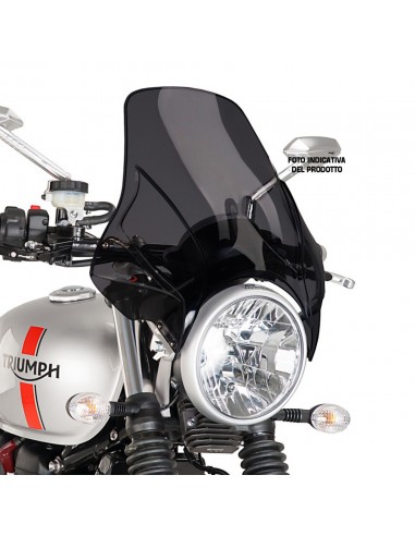 PUIG CUPOLINO UNIV. MOD. PLUS DAELIM ROADWIN 125 2006 FUME SCURO vendita online Como