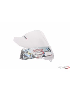 PUIG CUPOLINO RACING BMW K1200 R/SPORT 07-08 TRASPARENTE vendita online Como