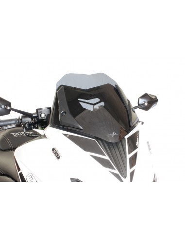 RACINGBIKE CUPOLINO SPORT YAMAHA T-MAX 530 12-16 FUME SCURO vendita online Como