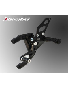 RACINGBIKE PEDANA-POGGIAPIEDE FISSO DUCATI 1199 PANIGALE 12-15 vendita online Como