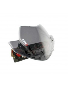 PUIG CUPOLINO NAKED N.G. SPORT TRIUMPH STREET TRIPLE R 2012 FUME CHIARO vendita online Como