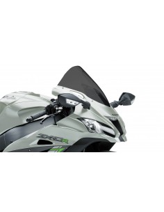 RACINGBIKE CUPOLINO HP KAWASAKI ZX-10RR 2018 FUME SCURO vendita online Como