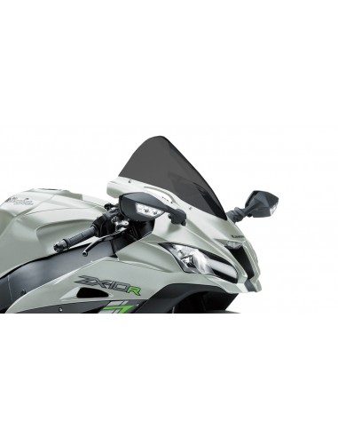 RACINGBIKE CUPOLINO HP KAWASAKI ZX-10RR 17-18 FUME SCURO vendita online Como