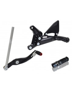 RACINGBIKE PEDANA-POGGIAPIEDE PIEGHEVOLE-CAMBIO STRADALE MV F3 15 vendita online Como