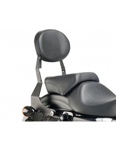 CUSTOM ACCES SISSYBAR REMOVIBILE HARLEY D. SPORTSTER 883R ROADSTER 2018 NERO vendita online Como